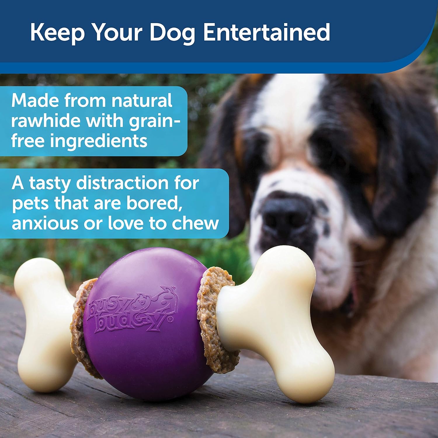 Petsafe BoneBall Bounce Buddy Dog Toy (Only Toy)